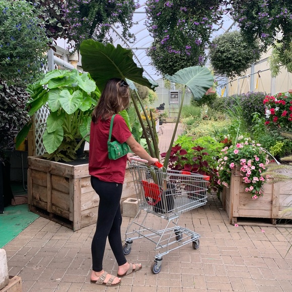 50% off 5+ items in my closet! sale : closet clearout! - Picture 11 of 16